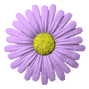 flower.gif