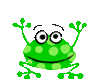 frog27.gif